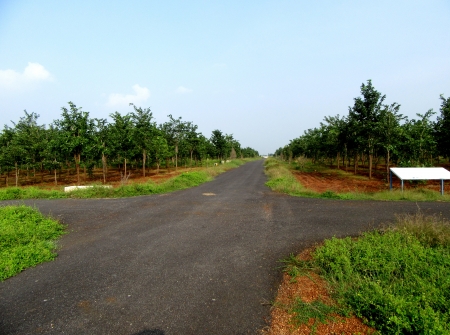 8) Plots with High Returns in Tirupati.JPG